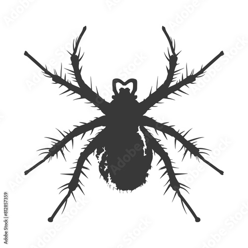 Silhouette lice animal black color only