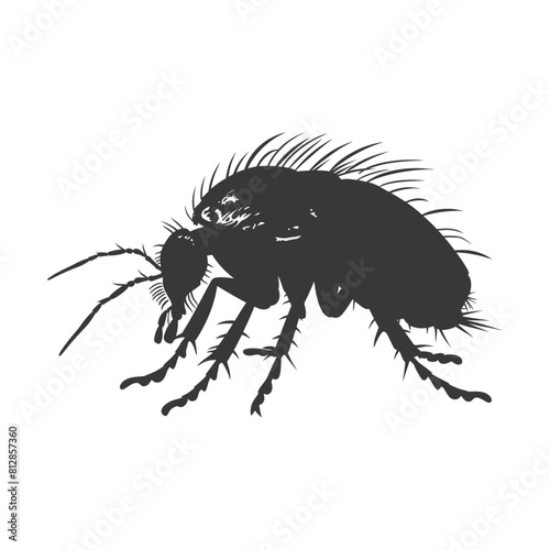 Silhouette lice animal black color only