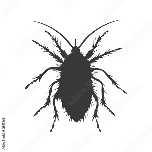 Silhouette lice animal black color only