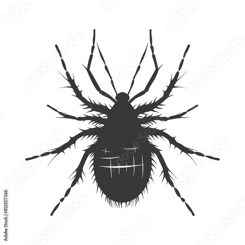 Silhouette lice animal black color only