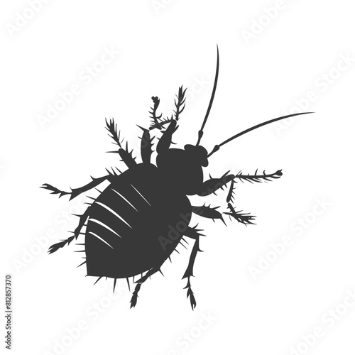 Silhouette lice animal black color only