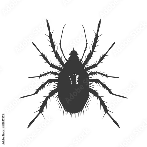 Silhouette lice animal black color only