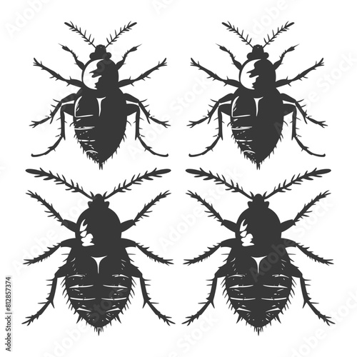 Silhouette lice animal black color only
