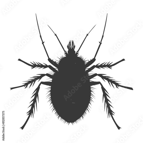 Silhouette lice animal black color only