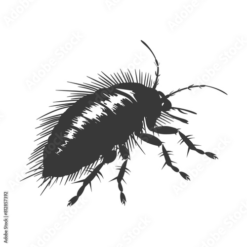 Silhouette lice animal black color only