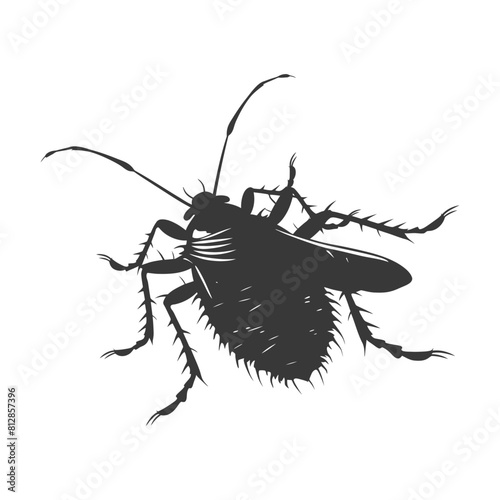 Silhouette lice animal black color only