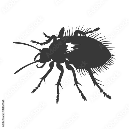 Silhouette lice animal black color only