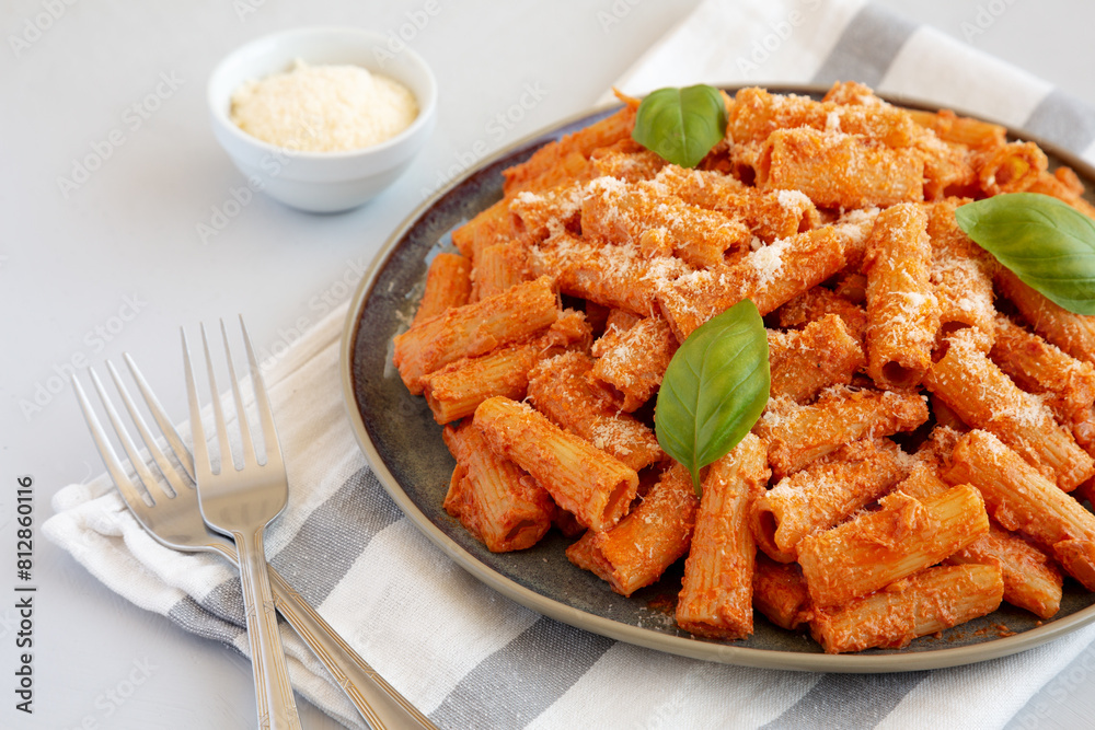 Homemade Vodka Rigatoni Pasta with Parmesan and Basil, side view. Homemade Vodka Rigatoni Pasta with Parmesan and Basil, side view.