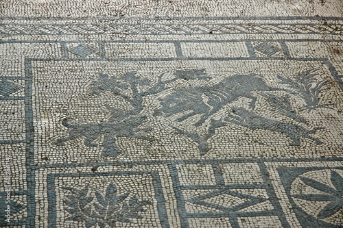 Wallpaper Mural Pavimento a mosaico di villa antica  romana di Pompei . con colori bianco e nero., Torontodigital.ca