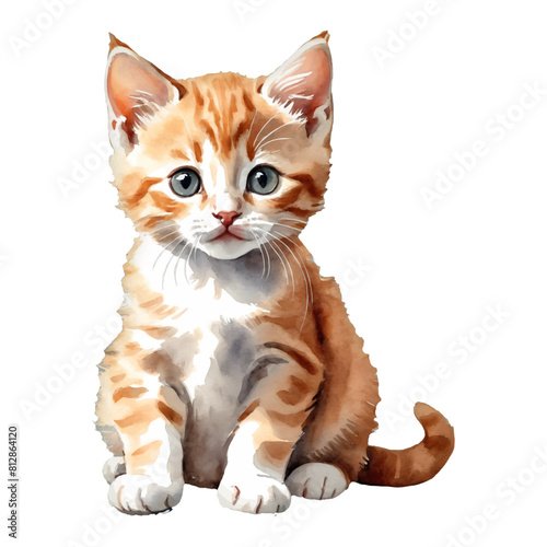 Ginger Cat Kitten Standing Hand Drawn Watercolor Painting Illustration