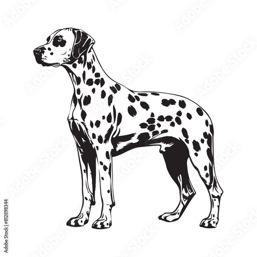 dalmatian dog silhoutte art high quality vector for prints