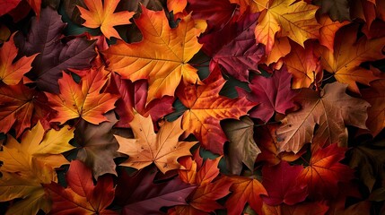 Creative layout of colorful autumn leaves Flat lay Season concept : Generative AI