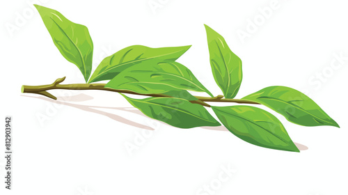 Hand drawn fresh green tea leaf bud twig sketch sty