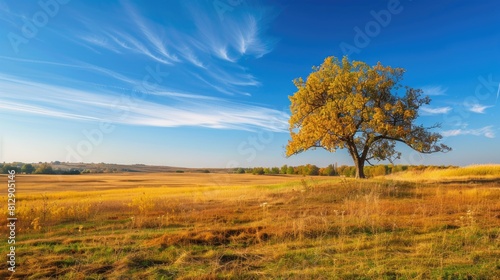 Autumn landscape with lonely tree on the meadow and blue sky