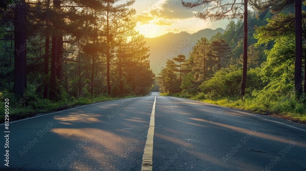 Asphalt road in the forest at sunset. Beautiful nature background.