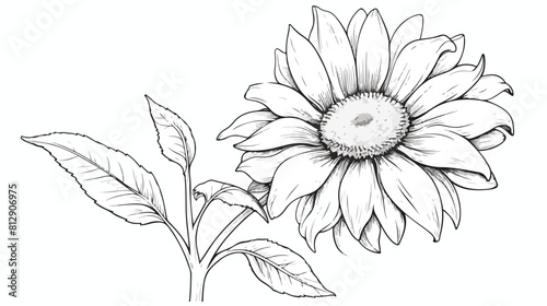 Hand drawn monochrome sunflowers leaf sketch style