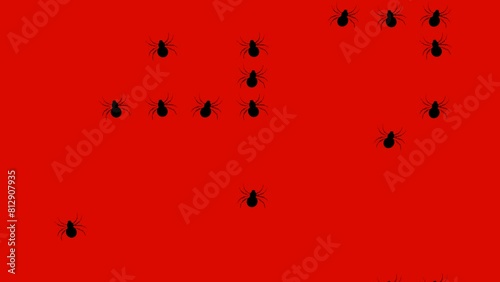 Halloween background. Crawling spiders on the orange wall. 4K video animation 3d render.