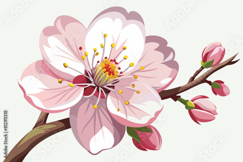 Pink flower with green leaves blooming on a branch, Cherry blossom Customizable Flat Illustration