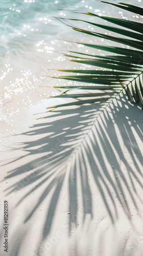 palm leaf shadow on abstract white sand beach background  sun lights on water surface  beautiful abstract background concept banner for summer vacation at the beach
