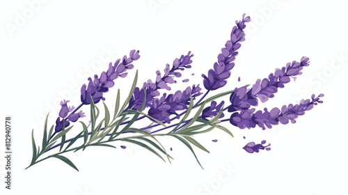 Lavender elegant flower branch hand drawn sketch ve