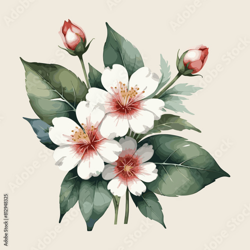 Hand draw japonica flower wedding flower wedding flower vector