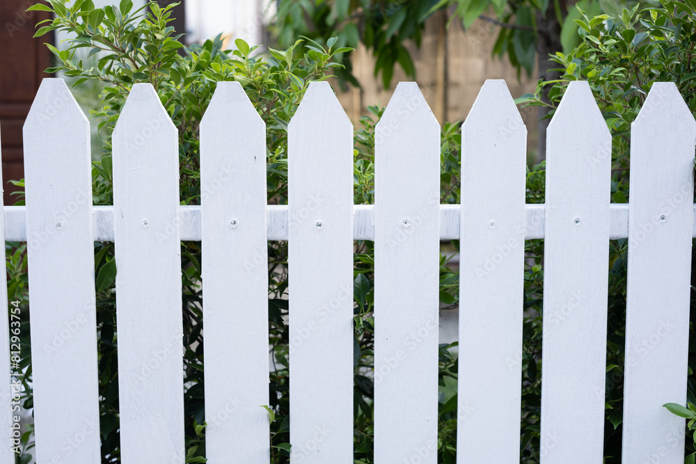 A white picket fence with green bushes in the background A white picket fence with green bushes in the background