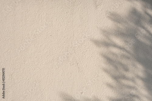 A white wall brown beach san and sun with a shadow of a tree