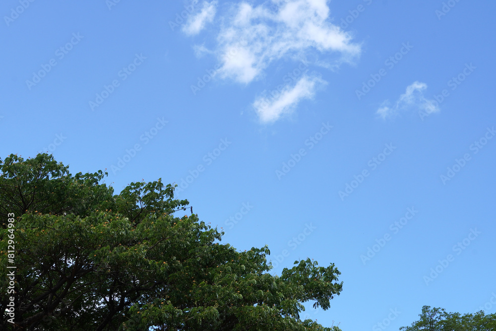 Summer blue sky, clouds and tree leaves. Copy space in nature background. Summer blue sky, clouds and tree leaves. Copy space in nature background.