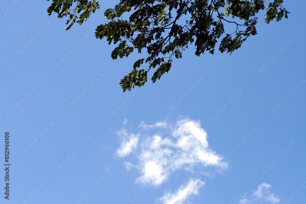 Summer blue sky, clouds and tree leaves. Copy space in nature background. Summer blue sky, clouds and tree leaves. Copy space in nature background.