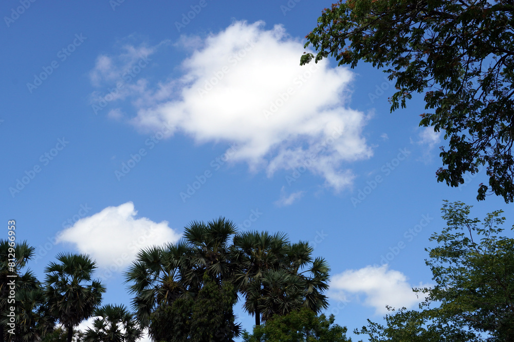 Summer blue sky, clouds and tree leaves. Copy space in nature background. Summer blue sky, clouds and tree leaves. Copy space in nature background.