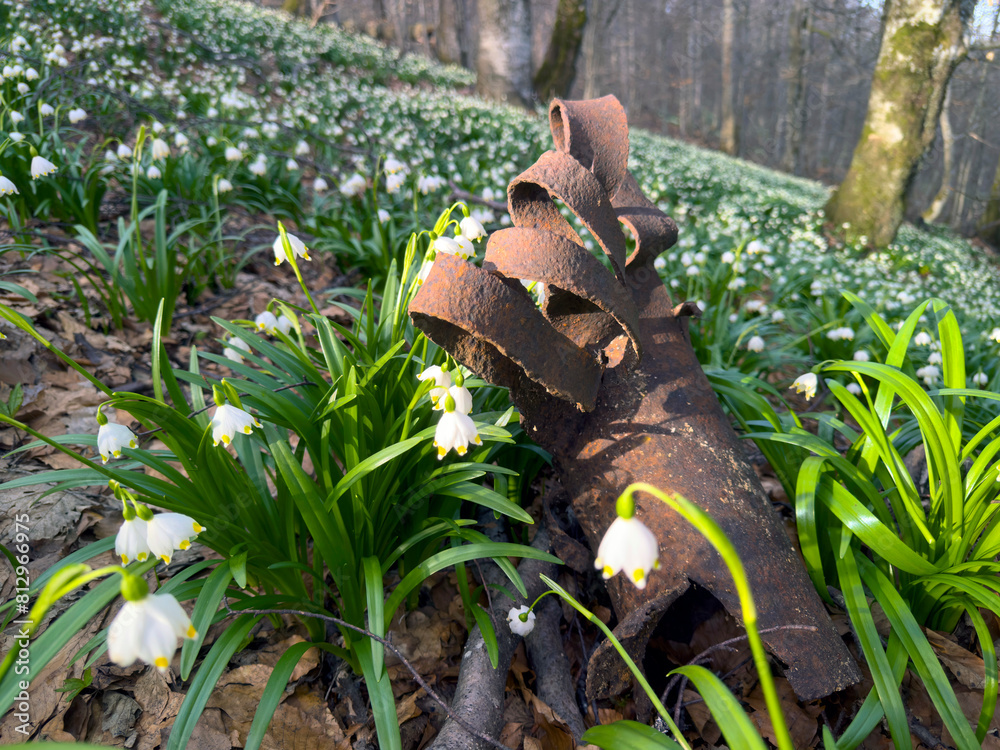 A World War II shell fragment