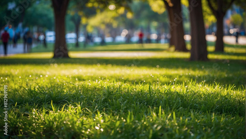 Urban Oasis, Verdant Green Lawn Amidst Public Park in the City.