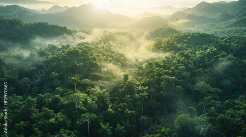 Aerial view of wind turbines among a misty tropical forest  symbolizing renewable energy