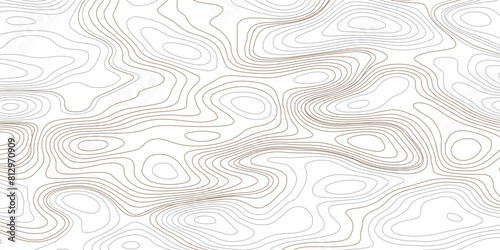 Topographic contour map. Topography and geography map grid abstract backdrop. Business concept. Fish Fillet