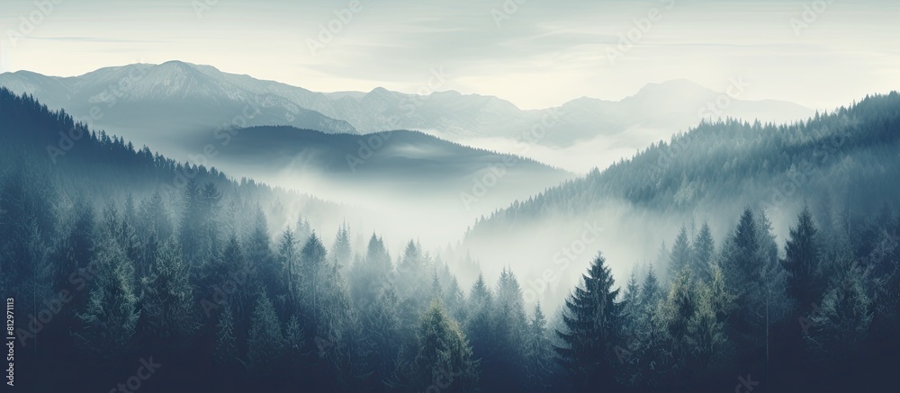 Vintage hipster style mountain landscape with misty fog fir forest and plenty of copy space image available