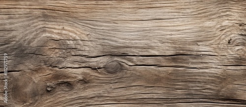 An image showcasing an aged wooden plank with a rough and natural texture. Copyspace image
