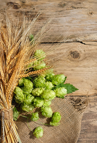 ripe rye ears and fresh green hop cones on old wooden background. Beer brewing ingredients. Top view.