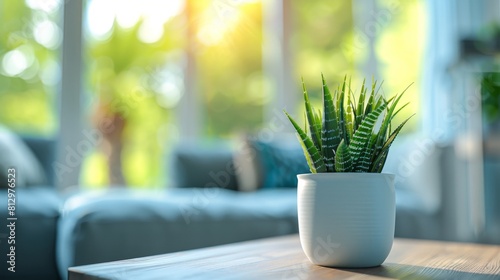 cozy living room potted plant and blurry background