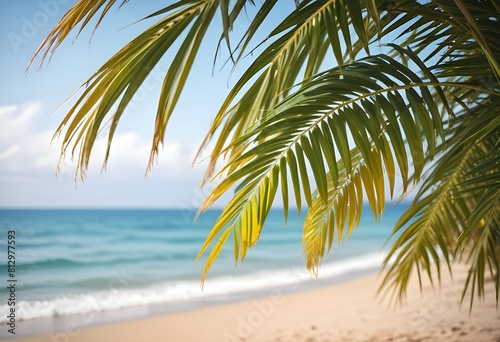 summer season theme with leafs of palm trees covered with shiny sun at beach behind Beach and Sea  season theme