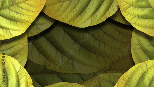 Let the soothing rhythm of swaying leaves against a deep background mesmerize you in 4k footage.