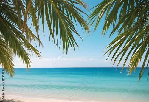 summer season theme with leafs of palm trees covered with shiny sun at beach behind Beach and Sea  season theme