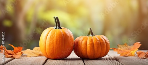 Wooden surface with copy space image showcasing two vibrant autumn pumpkins