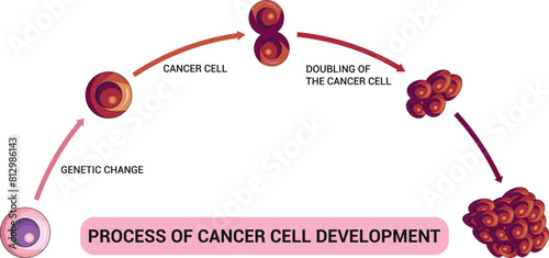 Process of Cancer Cell Development Science Diagram vector illustration