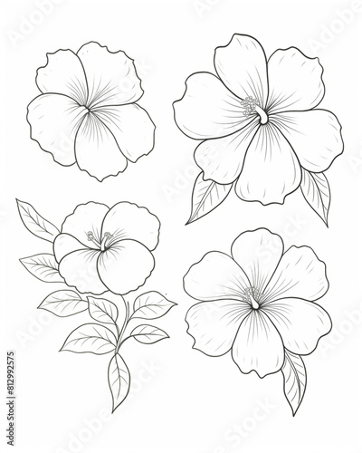 a set of four flowers drawn in black and white
