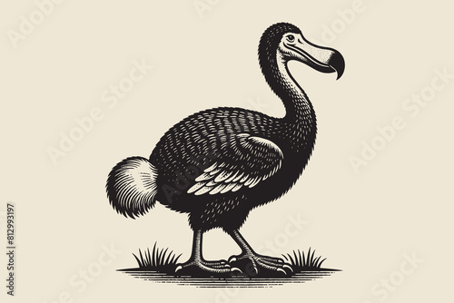 Dodo bird. Beautiful vintage engraving vector illustration, icon, logo, emblem