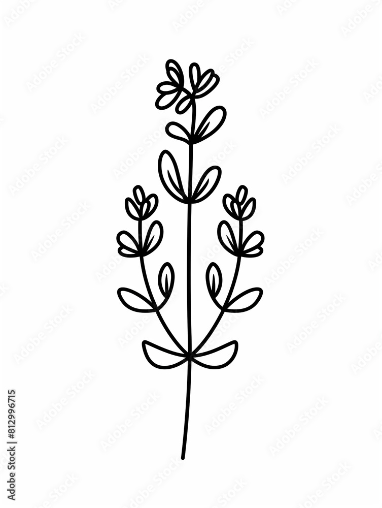 a black and white drawing of a plant with leaves