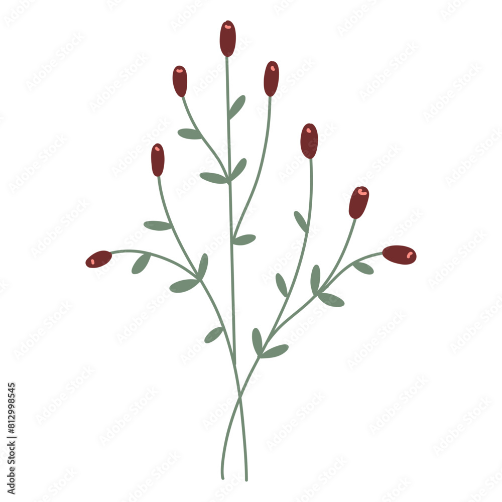 Flower. Wildflower branch. Spring summer delicate fragile flora. Floral flat hand drawn vector illustration on white background Flower. Wildflower branch. Spring summer delicate fragile flora. Floral flat hand drawn vector illustration on white background