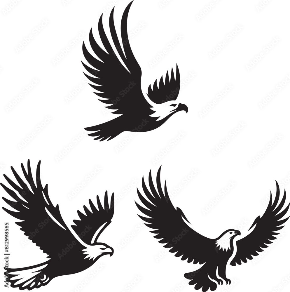 Obraz premium eagle vector fille 