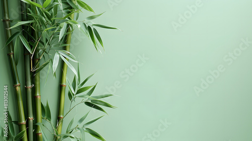 Relaxing bamboo foliage against a light green backdrop  providing ample copy space