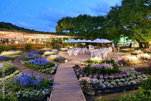 ライトアップされた花壇
